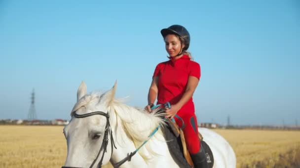 Uma Mulher Uniforme Vermelho Caminha Sobre Cavalo Branco Campo Feno — Vídeo de Stock