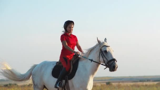 一个穿着红色制服的女人骑着一匹白马在干草地里散步 — 图库视频影像