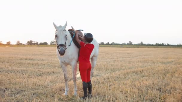 Uma Mulher Uniforme Vermelho Caminha Com Cavalo Branco Num Campo — Vídeo de Stock