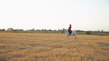 Kırmızı üniformalı bir kadın saman tarlasında beyaz bir atın üzerinde yürüyor. Yan görüş. Genel plan