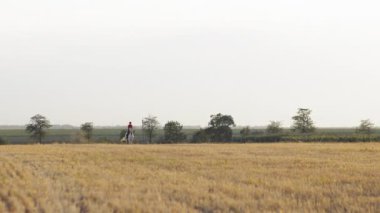 Kırmızı üniformalı bir kadın saman tarlasında beyaz bir atın üzerinde yürüyor. Kameraya doğru ilerliyor. Geniş açıyla.