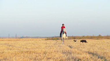 Kırmızı üniformalı bir kadın saman tarlasında beyaz bir atın üzerinde yürüyor. Kameraya doğru ilerliyor. Geniş açıyla.