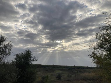 Ağaçlar ve bulutlarla dolu güzel bir manzara.