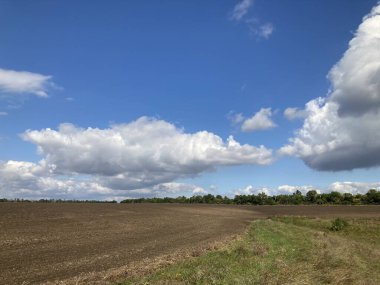 Kırsal kesimde beyaz buğday tarlası