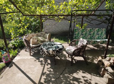 Kanepede beyaz labrador, doğada dinleniyor.