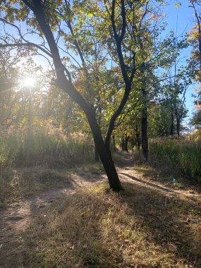 Doğanın güzel manzarası