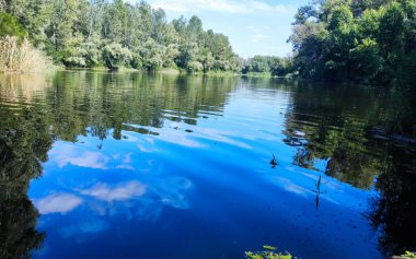 Parktaki güzel nehir