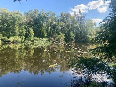 Nehir ve gölü olan güzel bir manzara.