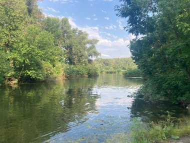Güneşli bir günde ağaçlar ve ormanlarla dolu bir göl.