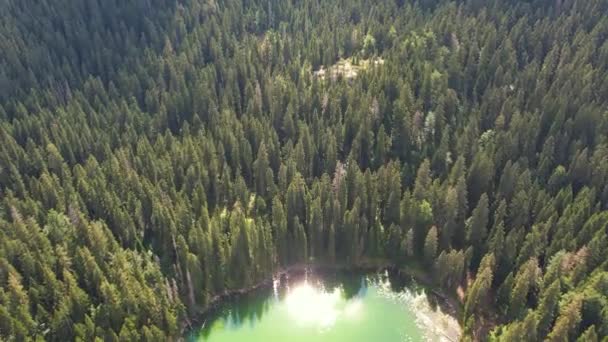 Aerial Top View Pine Trees Mountain Lake Zminje Jezero Durmitor — Stock Video