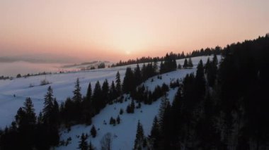 Beyaz kar tepeleri olan ladin ormanları ve Karpat dağlarında gün doğumu sisi. Hava 4K videosu.