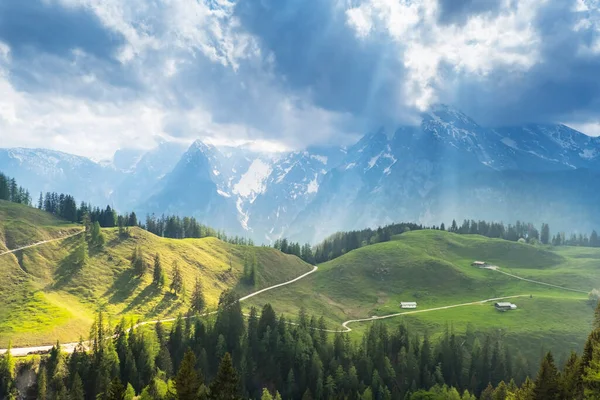 Paisagem Idílica Nos Alpes Com Prados Verdes Frescos Pinheiros Cumes — Fotografia de Stock