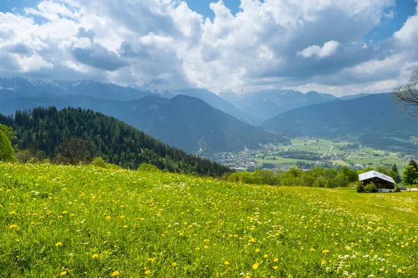 Alpler Yeşil Çayırlar Çiçek Açan Çiçekler Arka Planda Dağ Tepeleri — Stok fotoğraf