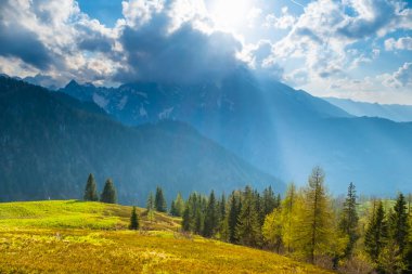 Alpler 'de yeşil çayırlar, çam ormanı ve arka planda dağ tepeleri olan Idyllic manzarası