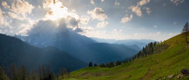 Alpler 'de yeşil çayırlar, çam ormanı ve arka planda dağ tepeleri olan Idyllic manzarası