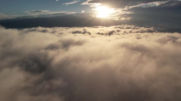 Rückwärts Fliegen Über Die Wolken Des Sonnenaufgangs Das Konzept Von — Stockvideo