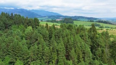 Slovakya 'daki Liptovska Mara yakınlarındaki dağlara, tarlalara, yeşil ormana insansız hava aracı görüntüsü