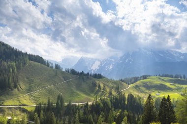 Alpler 'de yeşil çayırlar, çam ormanı ve arka planda dağ tepeleri olan Idyllic manzarası