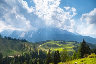 Alpler 'de yeşil çayırlar, çam ormanı ve arka planda dağ tepeleri olan Idyllic manzarası
