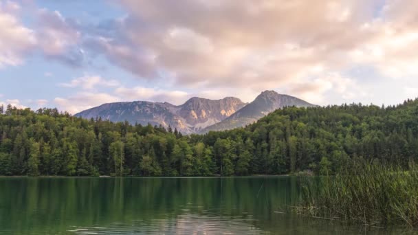 山の湖アラツェの日没時間の経過 野生の自然と松林 速い雲の動き — ストック動画