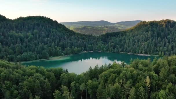 日没の山の湖アラツェ上を飛ぶ 野生の自然と松林 — ストック動画