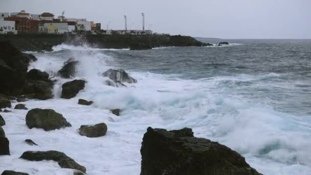 Vagues Océaniques Paysage Volcanique Près Gorachico Ville Tenerife Tenerife Îles — Video