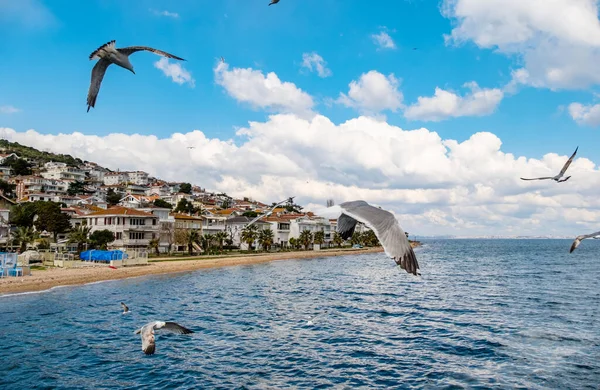 Princes Islands Istanbul Buyukada Largest Island Resort Sea Marmara — Foto de Stock