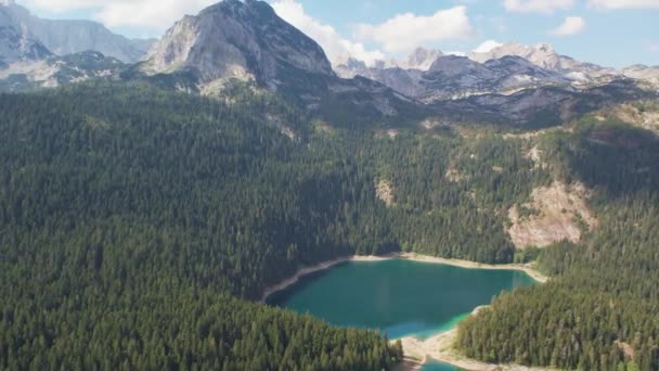 モンテネグロのドゥルミトル国立公園で黒い湖の空中ビュー Zabljakの山湖Crno Jezeroはモンテネグロの魅力です 夏の晴れた日 — ストック動画