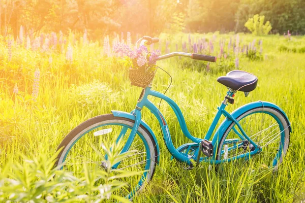 Vintage Rower Koszem Pełnym Kwiatów Stojących Słonecznym Polu — Zdjęcie stockowe