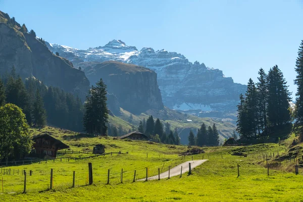 瑞士山地山谷基兰 伯纳奥伯兰阿尔卑斯山 阳光明媚 去瑞士 — 图库照片