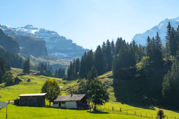 瑞士山地山谷基兰 伯纳奥伯兰阿尔卑斯山 阳光明媚 去瑞士 — 图库照片