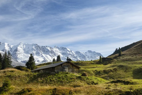 Tradizionale Villaggio Alpino Nella Valle Turistica Lauterbrunnen Svizzera Attrazione — Foto Stock