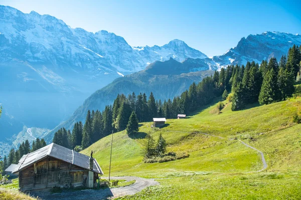 Incroyable Village Alpin Touristique Dans Vallée Lauterbrunnen Suisse Attraction — Photo