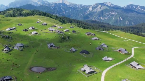 Flygfoto Över Alpin Velika Planina Slovenien Alpernas Naturlandskap Med Historiska — Stockvideo