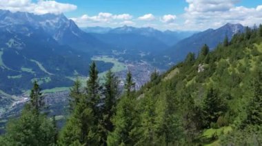 Almanya, Bavyera 'daki Alpler Dağlık Alanı. Yeşil orman, yaz güneşli gün.