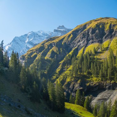 İsviçre Dağ Vadisi Kiental, Berner Oberland Alpleri. Kar dağları, güneşli hava, İsviçre 'ye seyahat.
