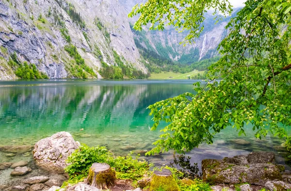 Green Turquoise Clear Alpine Lake Obersee Koenigssee Surrounded Mountains Alps — Stock Photo, Image