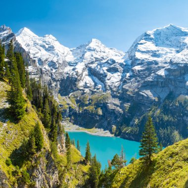 Güneşli yaz gününde Oeschinensee Gölü ve kar Bluemlisalp dağı. Gök mavisi Oeschinensee Gölü Panoraması, İsviçre Alpleri 'nde çam ormanı, Kandersteg. İsviçre.