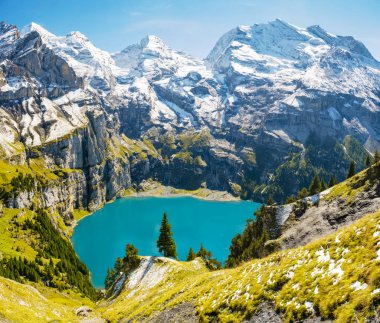 Güneşli yaz gününde Oeschinensee Gölü ve kar Bluemlisalp dağı. Gök mavisi Oeschinensee Gölü Panoraması, İsviçre Alpleri 'nde çam ormanı, Kandersteg. İsviçre.