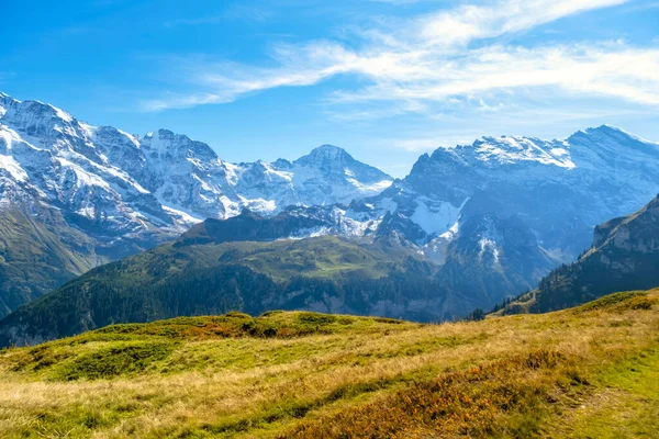 Paisaje Idílico Verano Los Alpes Con Prados Verdes Frescos Cumbres — Foto de Stock