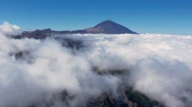 Teide Ulusal Parkı 'nın havadan 4K görüntüsü ve Teide Dağı beyaz kabarık bulutlar denizi üzerinde. İspanya 'nın Tenerife adasındaki Teide Ulusal Parkı' nda yanardağ.