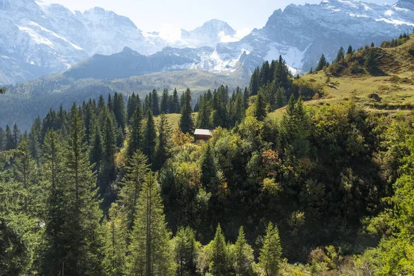 Traditioneel Alpendorp Toeristisch Dal Lauterbrunnen Zwitserland Attractie — Stockfoto