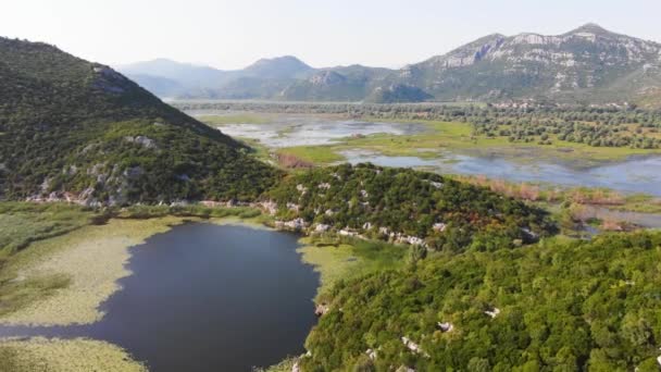 Green Nature Background Aerial View Wetlands Skadar Lake Boat Road — Stock videók