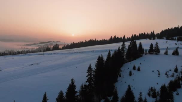 空中无人侦察机俯瞰喀尔巴阡山脉上空的云雾 寒冷的冬日阳光灿烂 — 图库视频影像