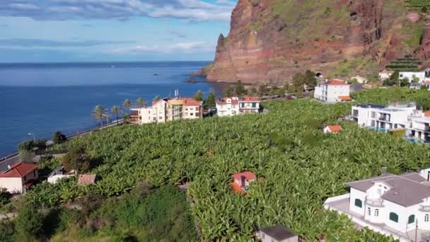 Aerial View Rural Landscape Madeira Banana Plantations Village Ocean — Stock Video