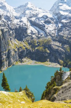 Güneşli yaz gününde Oeschinensee Gölü ve kar Bluemlisalp dağı. Gök mavisi Oeschinensee Gölü Panoraması, İsviçre Alpleri 'nde çam ormanı, Kandersteg. İsviçre.