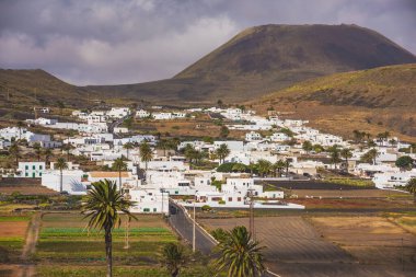 La Haria 'nın volkanik manzarası. Lanzarote Kanarya Adaları İspanya