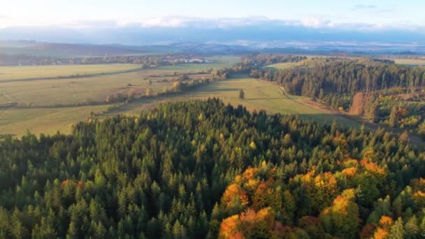 Der Flug Aus Der Luft Über Die Ländliche Landschaft Mit — Stockvideo