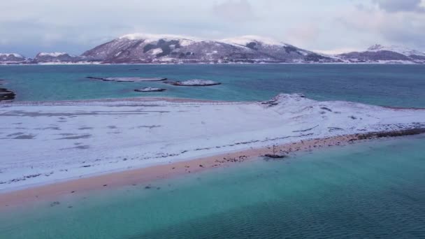 Flygfoto Runt Sandstrand Med Snötäckt Berg Bakgrund Solig Vinter Sommaroy — Stockvideo