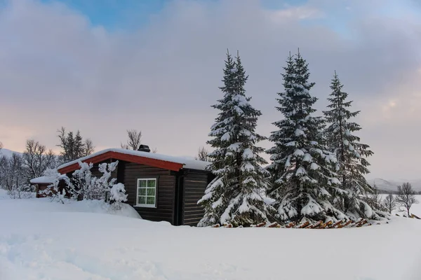 Невеликий Сніговий Критий Мисливський Будиночок Норвезьких Горах Слідами Тварин Передньому — стокове фото